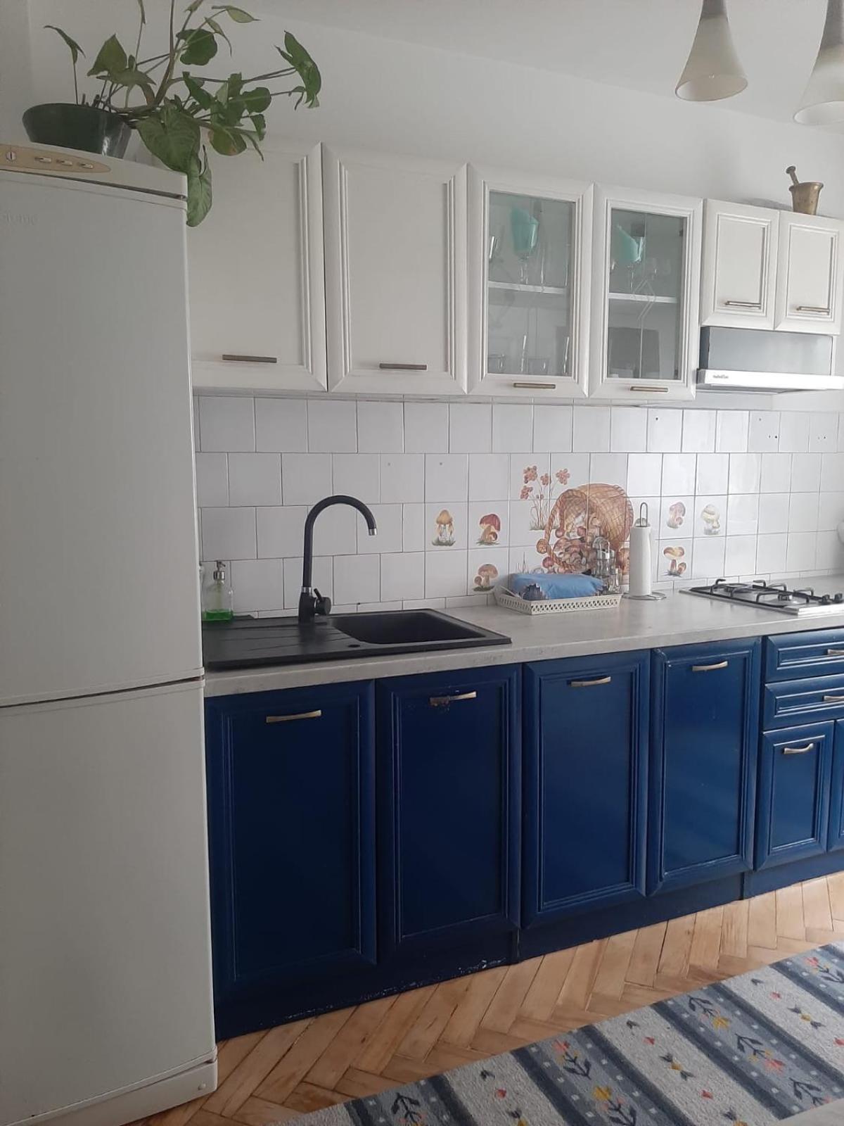 Mari&Vio Apartment Cluj-Napoca Extérieur photo