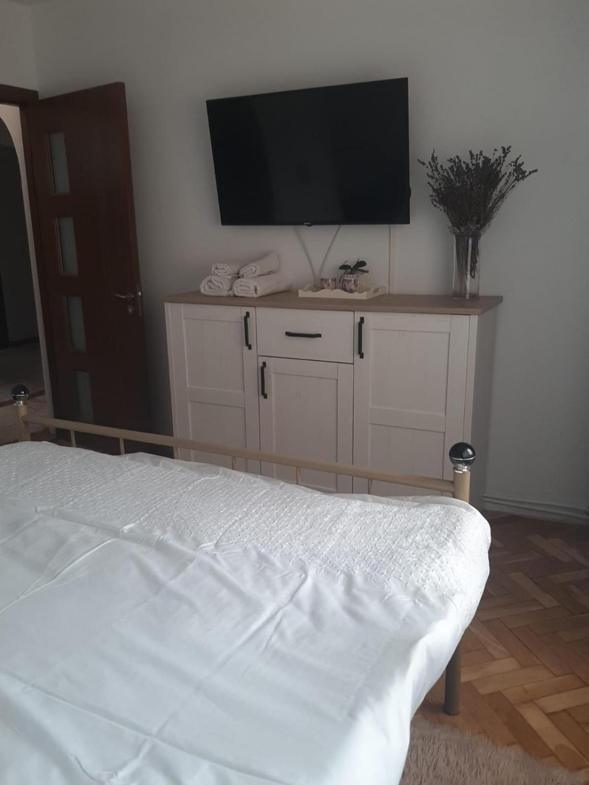 Mari&Vio Apartment Cluj-Napoca Extérieur photo