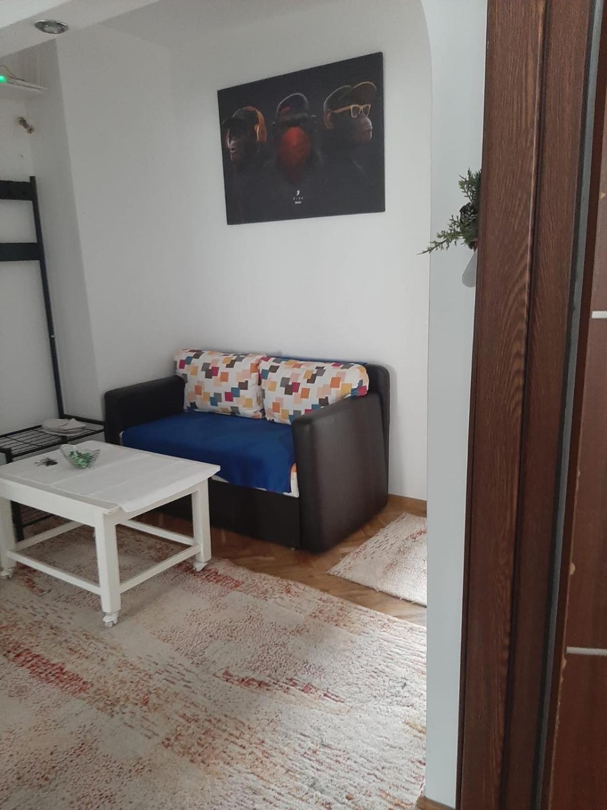 Mari&Vio Apartment Cluj-Napoca Extérieur photo
