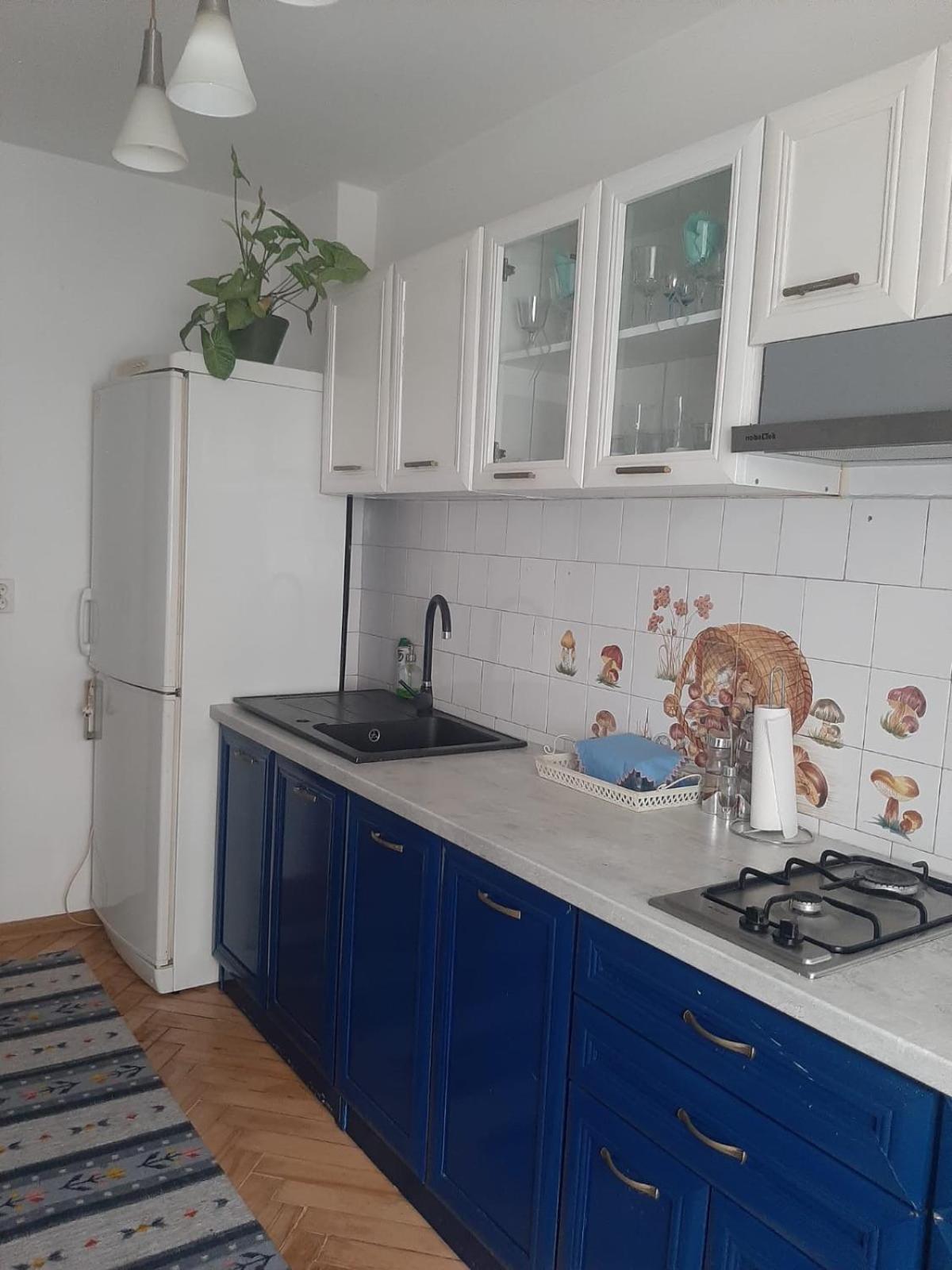 Mari&Vio Apartment Cluj-Napoca Extérieur photo